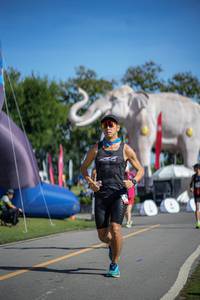 BIB: 
                            <button type="button" onclick="openModal(26542242)" class="btn btn-primary btn-sm float-right btn-popup" data-toggle="modal" data-target=".modal-high-quality">
                        <i class="fas fa-shopping-cart"></i> Add to Cart
                    </button>
                                            <button type="button" onclick="isThisMe(26542242, true)" class="btn btn-success btn-sm float-right btn-popup btn-isme hidden" data-toggle="tooltip" data-placement="bottom" title="นี่คือรูปของคุณใช่ไหม คลิกที่นี่เพื่อเอาเข้าอัลบั้ม">
                        <i class="fas fa-plus"></i> Add to album
                    </button>
                    <button type="button" onclick="isThisMe(26542242, false)" class="btn btn-warning btn-sm float-right btn-popup btn-isnotme hidden">
                        <i class="fas fa-ban"></i> Remove from album
                    </button>